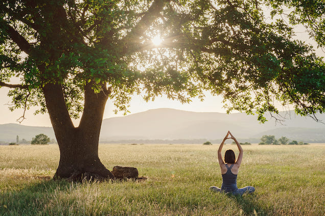 Outdoor Yoga – Erfrischende Entspannung im Grünen